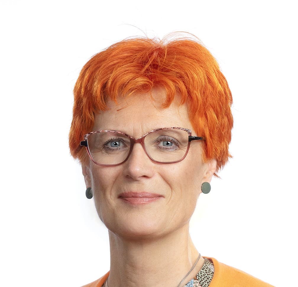 Pirjo Puntola  — Pihlajalinna