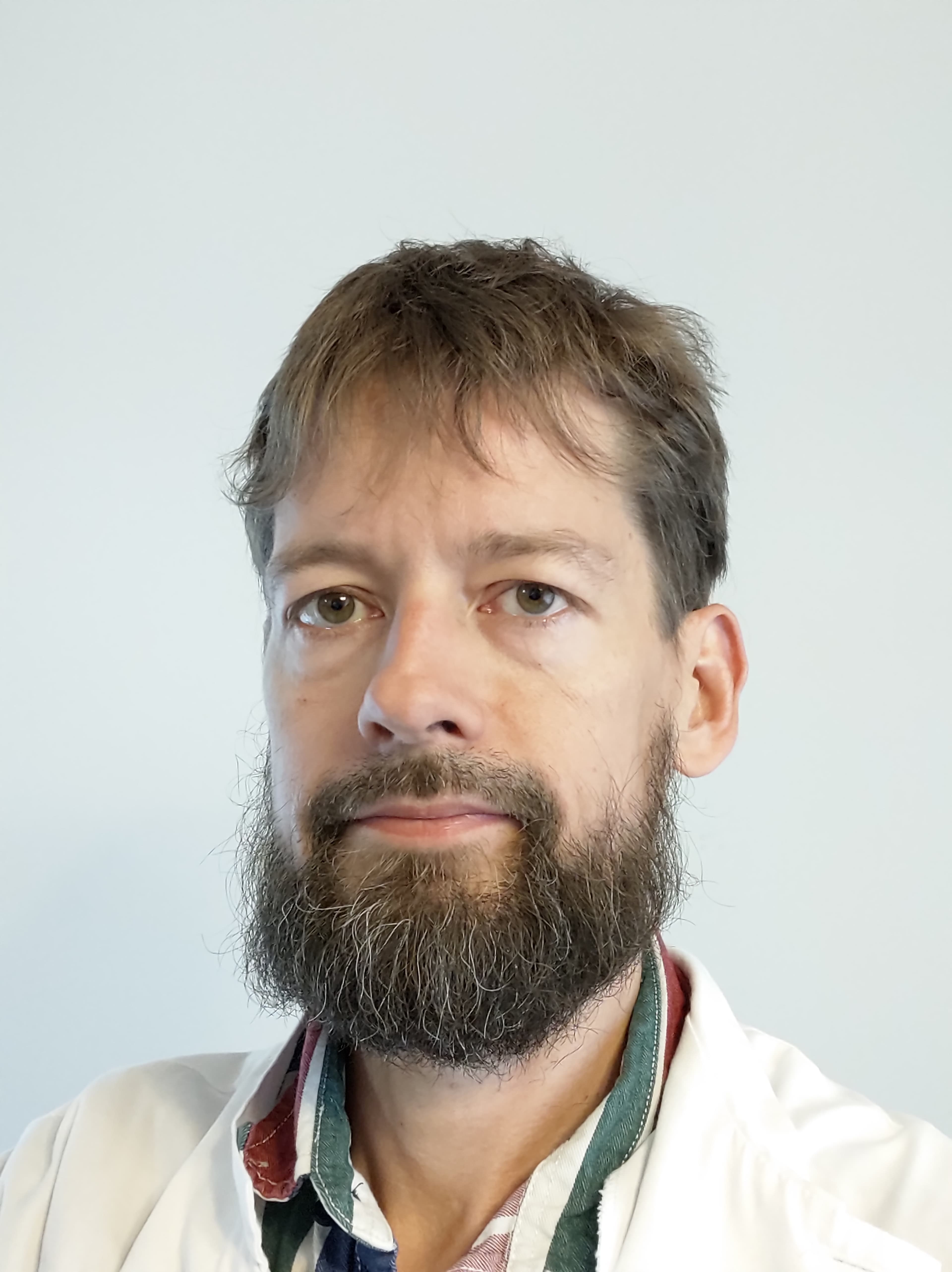 Antti Mannoja — Pihlajalinna