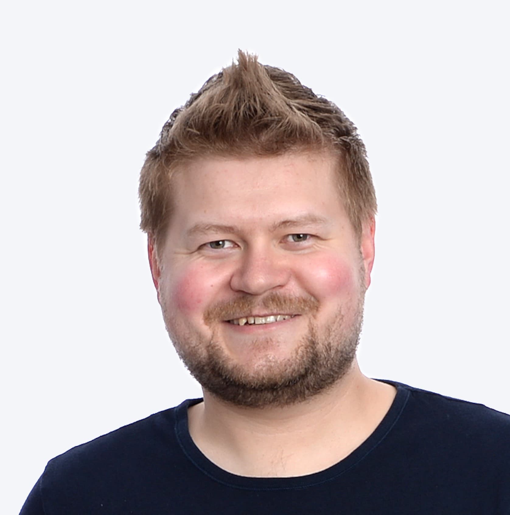 Petrus Vesterinen — Pihlajalinna