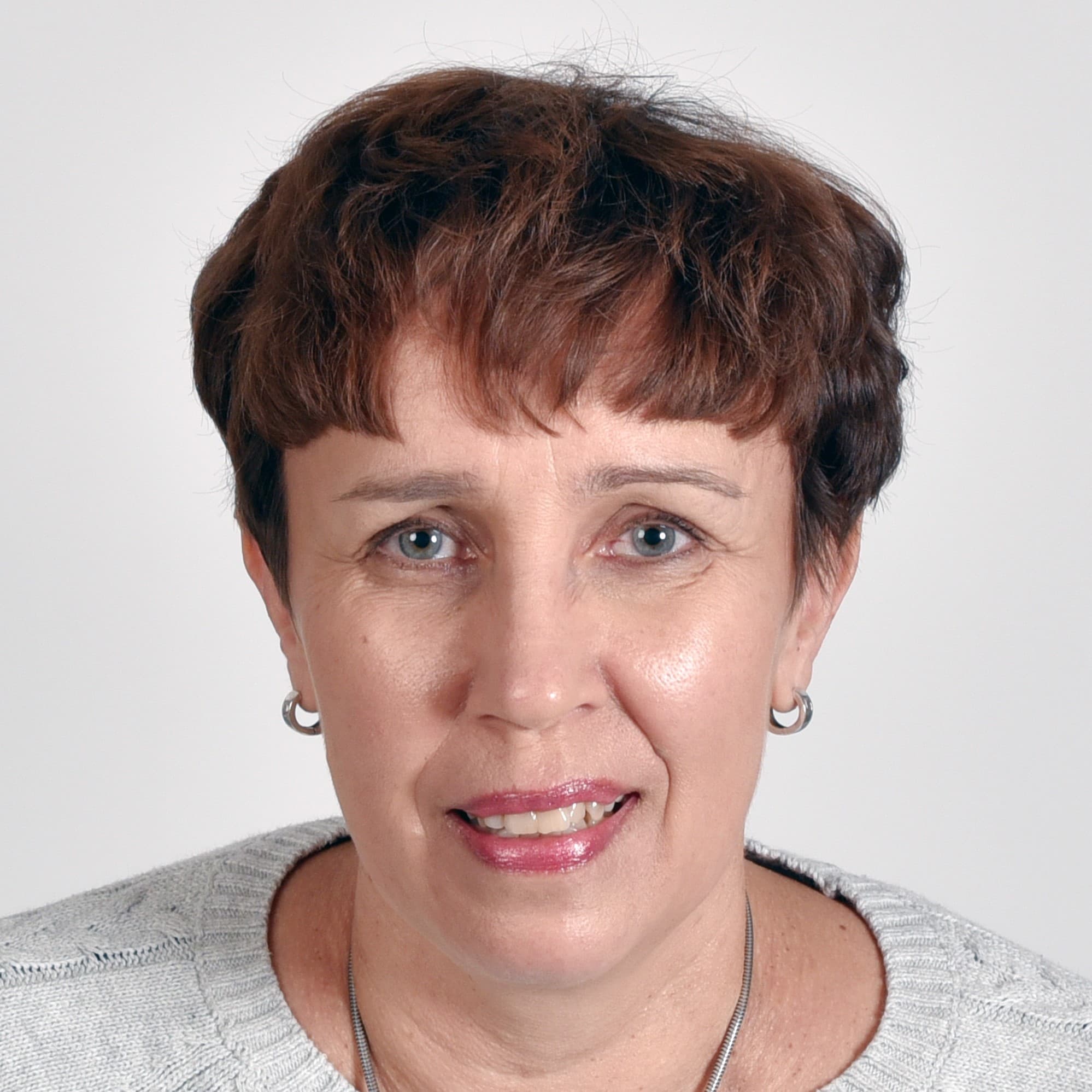 Leena Ylinikkilä — Pihlajalinna