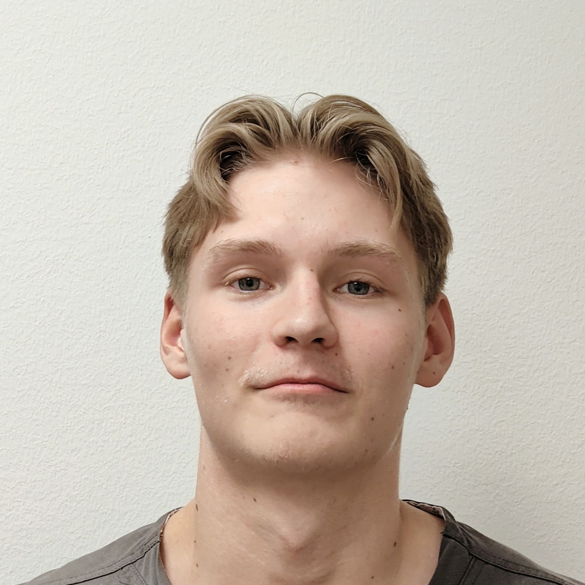 Aamos Nikula — Pihlajalinna