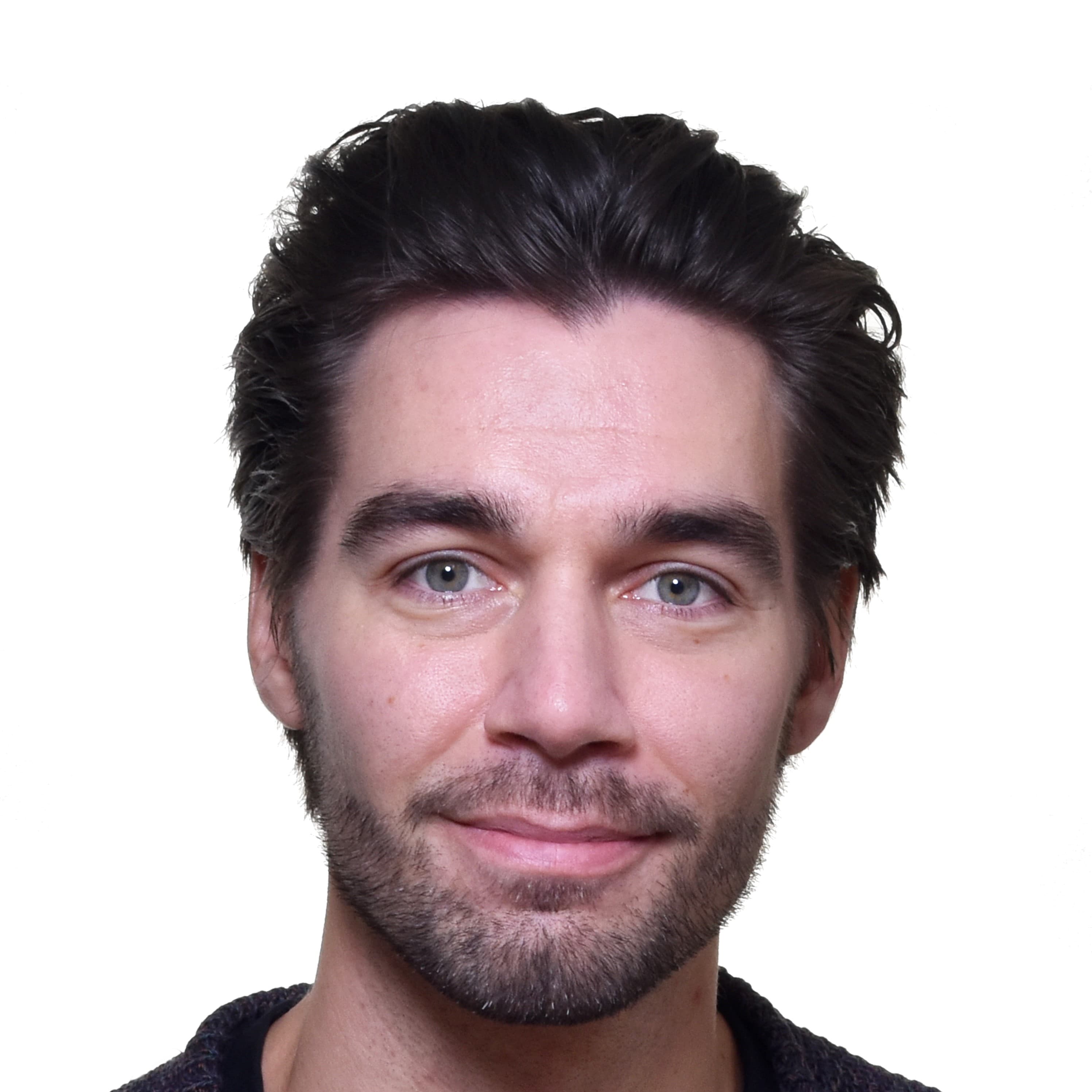 Ville Varho — Pihlajalinna