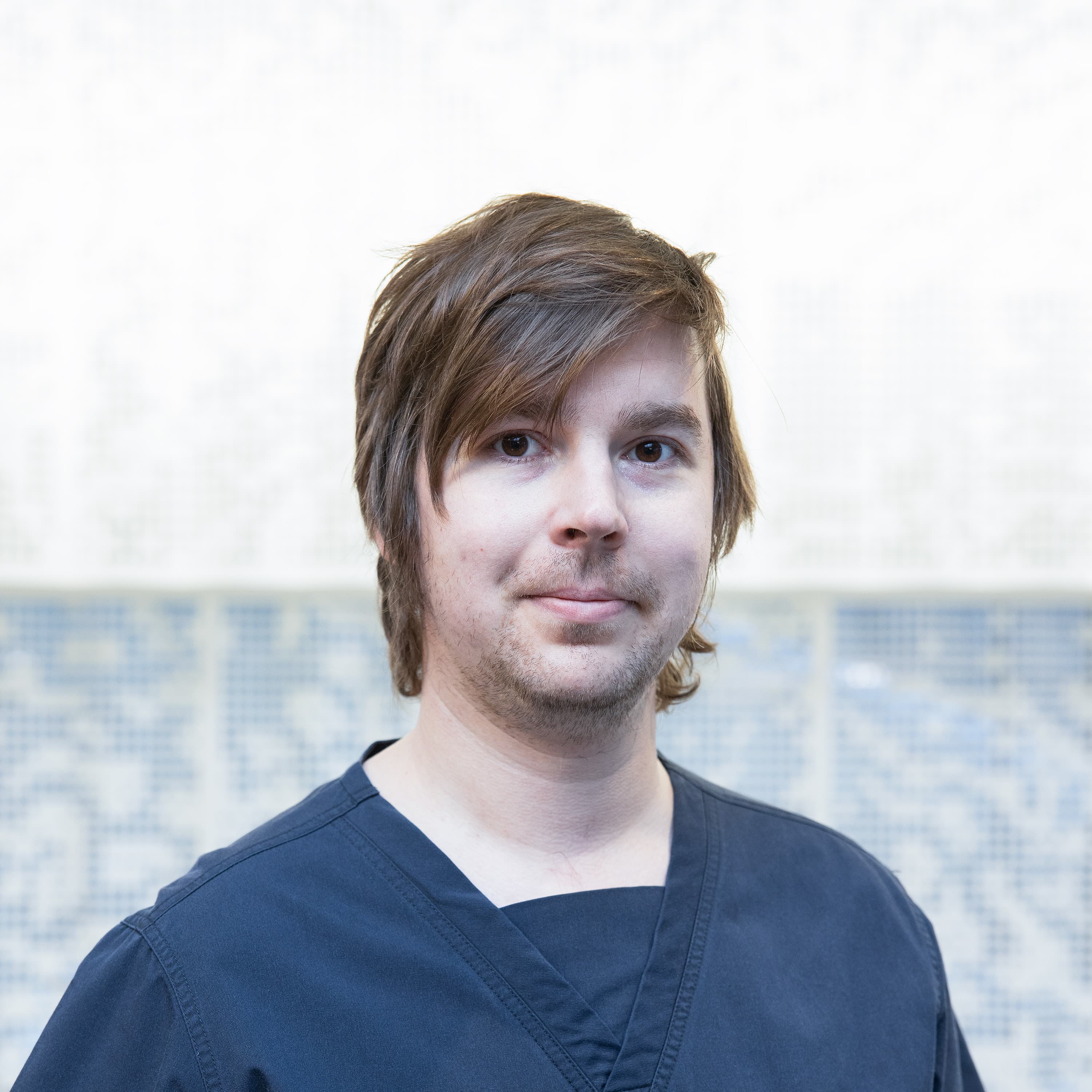 Antton Palomäki — Pihlajalinna